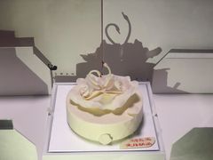-BLACKSWAN黑天鹅(环球店)