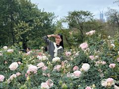 -人民公园(罗湖区)