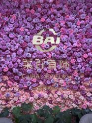 -菜百首饰(朝阳店)