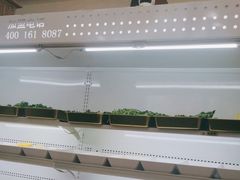 -超级泰·泰式麻辣烫(南京商厦店)