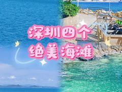 -杨梅坑