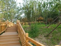 -北京大葆台遗址博物馆