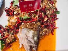 -杨氏青龙虾·羊蝎子(托乐嘉店)