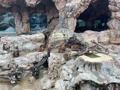 -珠海长隆海洋王国