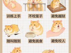 -FAELING PETS美天灵宠物(合生汇店)