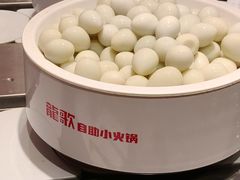 -龍歌自助小火锅(雨花台江南虹悦城店)