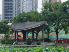 -广西大学(大学东路校区)