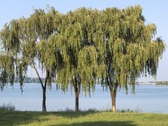 -漕湖湿地公园
