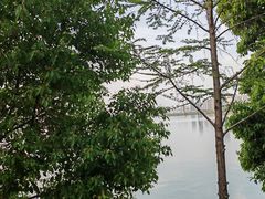 -艾溪湖湿地公园