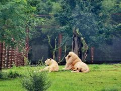 -沈阳森林动物园