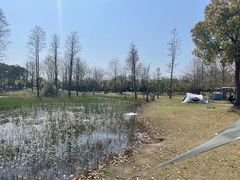 -广富林郊野公园