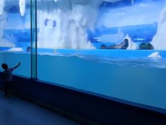 -多彩贵州城极地海洋世界