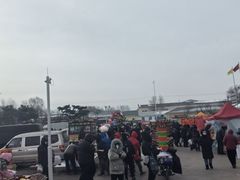 -蒲河大集
