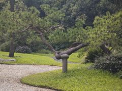 -云溪植物园