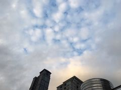 -猫街麻糍哥(思明南路店)