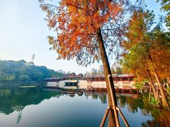 -重庆彩云湖湿地公园