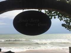 -卷心菜和避孕套餐厅(Pattaya)