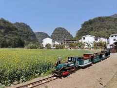 -万峰林风景区