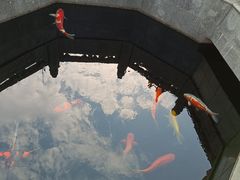 -西安市广仁寺