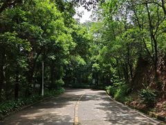 -大雁山风景区