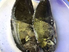 泥鳗-蚝乡农庄(铁涌赤岸店)