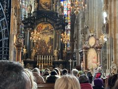 -斯蒂芬主教座堂(Stephansdom)