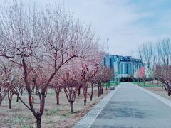 -东郊湿地公园