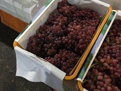 -菜园坝水果市场