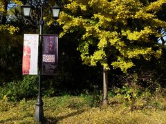 -北京大学赛克勒考古与艺术博物馆
