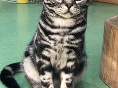 -藦茜花园宠物主题亲子互动体验馆(国顺东路店)