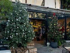 -自由生长植物工作室(深港花卉中心店)