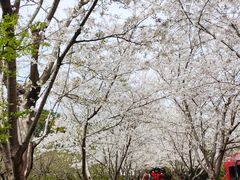 -苏州香山国际大酒店