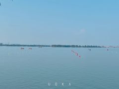 -漕湖湿地公园