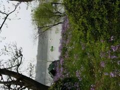 -紫霞湖公园