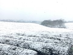 -敬亭山风景名胜区