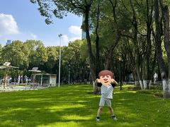 -重庆市江北嘴中央商务区中央公园