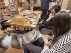 -more than meow吴止猫主题餐厅(承德 中船汇店)