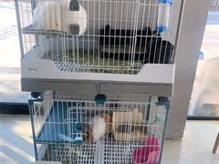 -小意思咖啡店(草桥店)