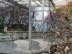 -北京鹫峰国家森林公园