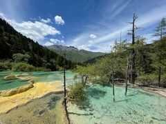 -黄龙山原始森林景区