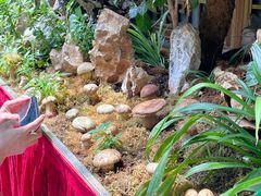 -蔼若春.传承三十年云南菜(金碧公园店)