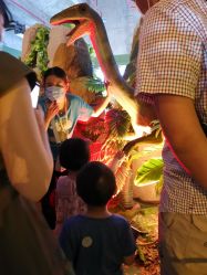 -恐龙探索乐园(磁器口店)