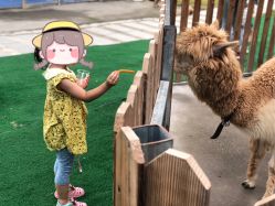 -萌宠亲子动物乐园(槐房万达店)