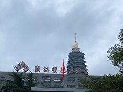 -听松楼·花园酒店·自助餐厅(红梅公园店)