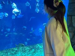 -威海华夏城景区