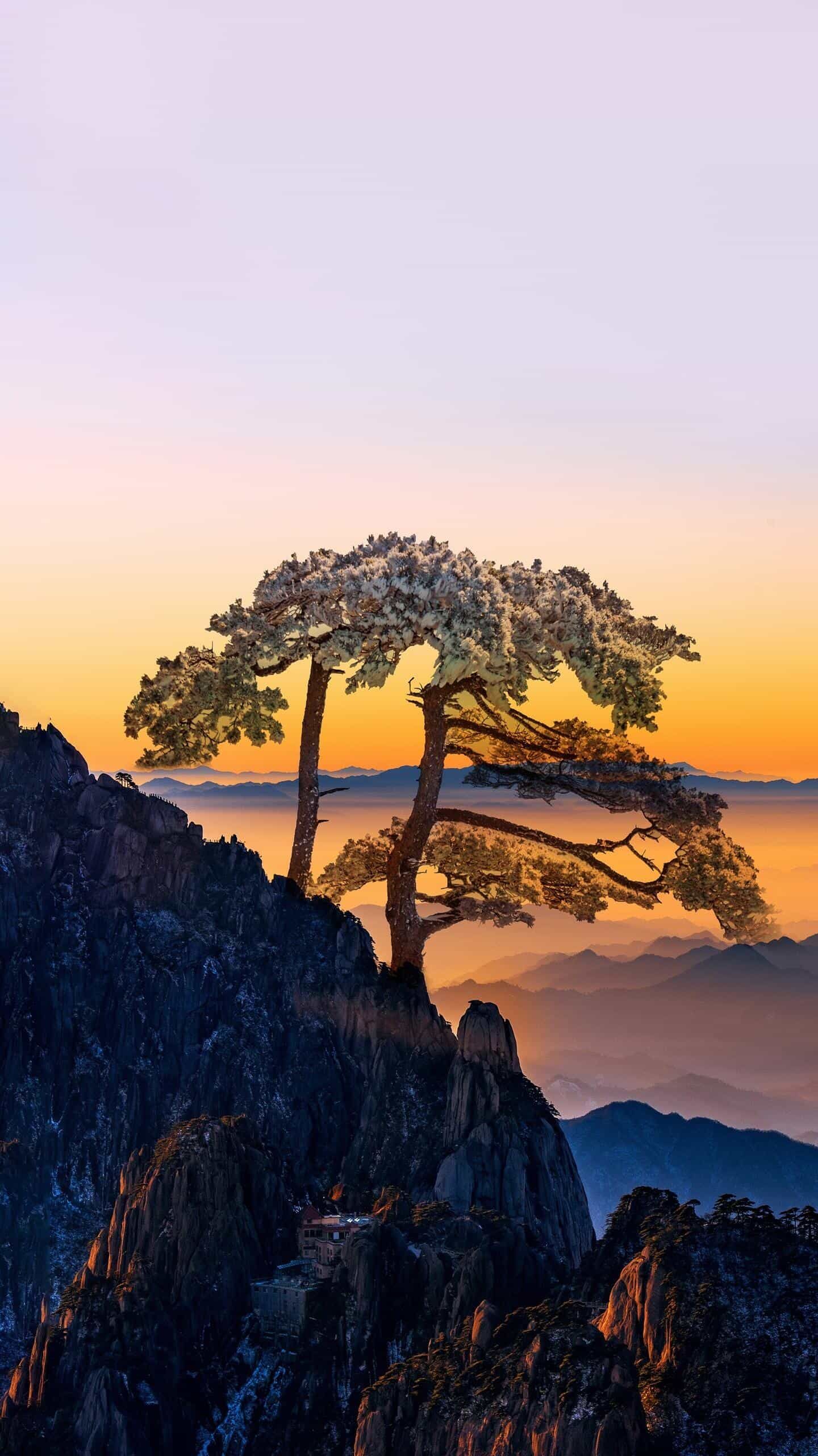 大自然的绝美风景
