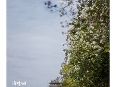 -海珠湖公园