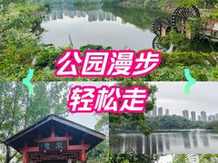 -重庆彩云湖湿地公园