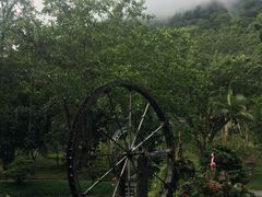 -莫里热带雨林景区