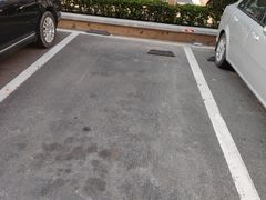 -雪蔓之鲜花气球派对(家佳源时代中心店)